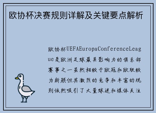 欧协杯决赛规则详解及关键要点解析